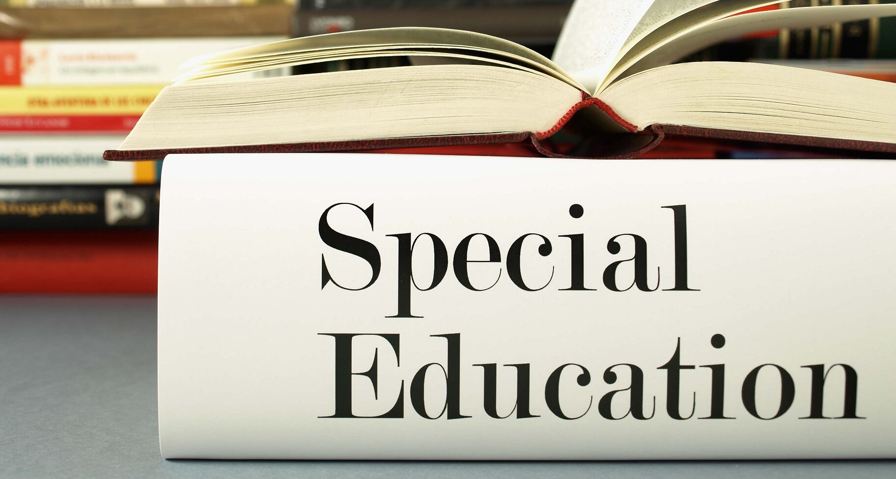 phd in special education law